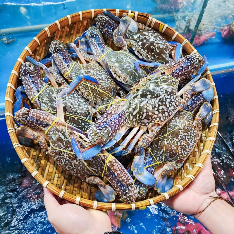 Ghe xanh Nha Trang