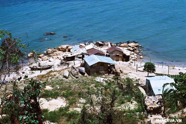 Lịch sử nghề chả cá